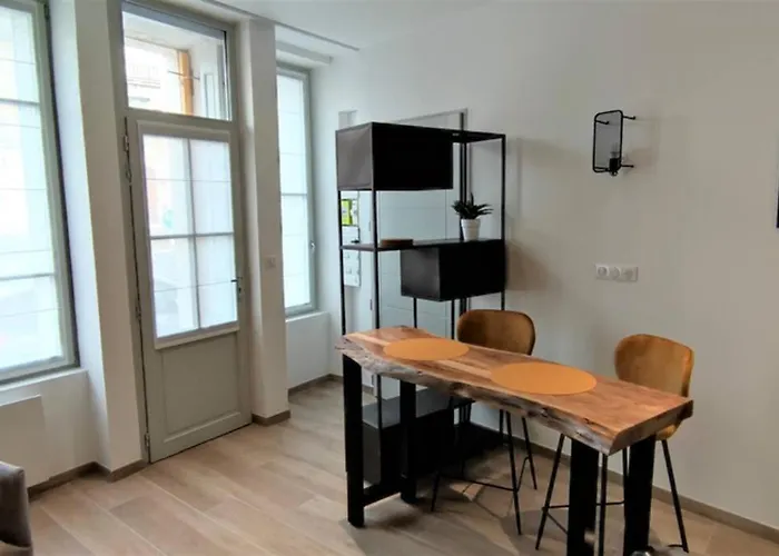 Appartement T2 Centre-Ville Entierement Renove