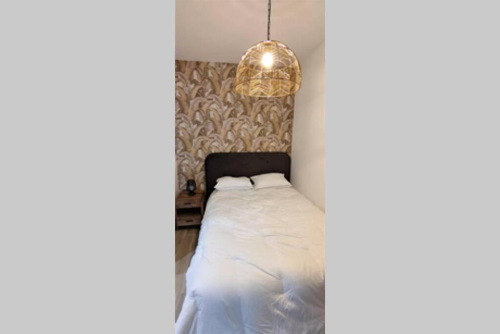 T2 Centre-ville Entierement Renove Apartment Reims